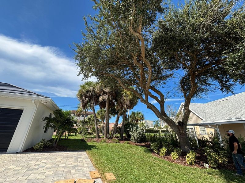 Commercial Landscaping