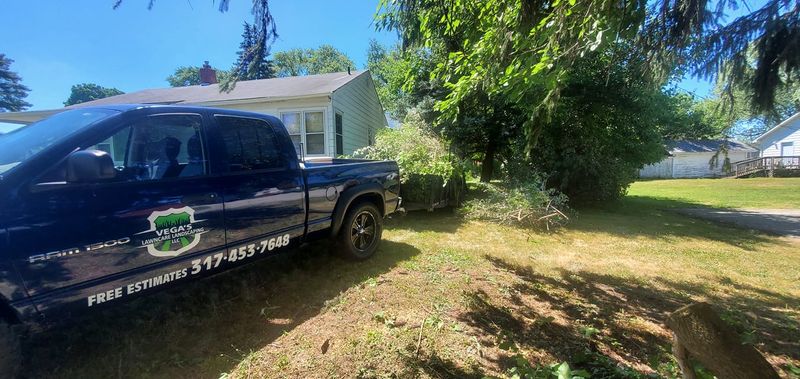 Fall and Spring Clean Up
