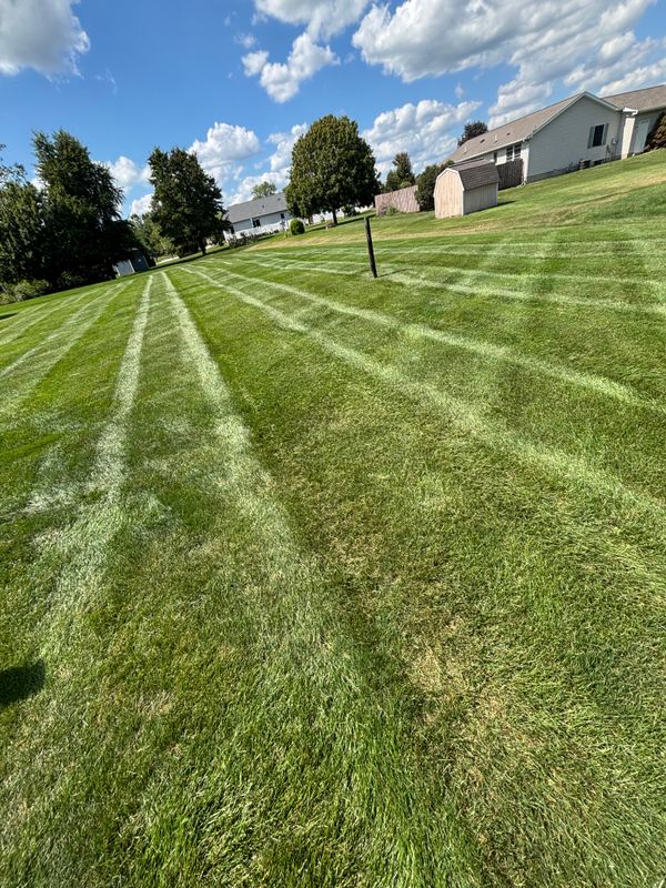 Spring Cleanup
