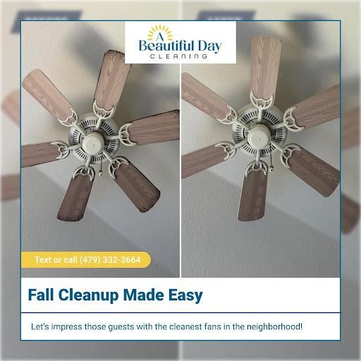 Top to Bottom Deep Clean