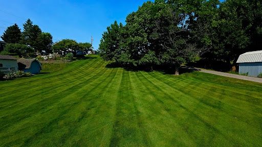 Lawn Maintenance