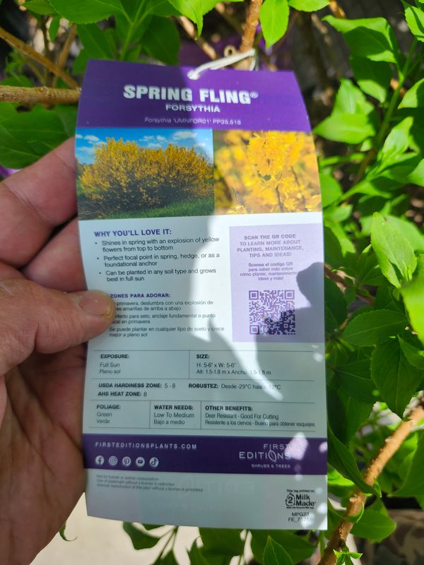 Flower & Tree Planting