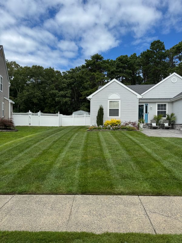 Lawn Maintenance