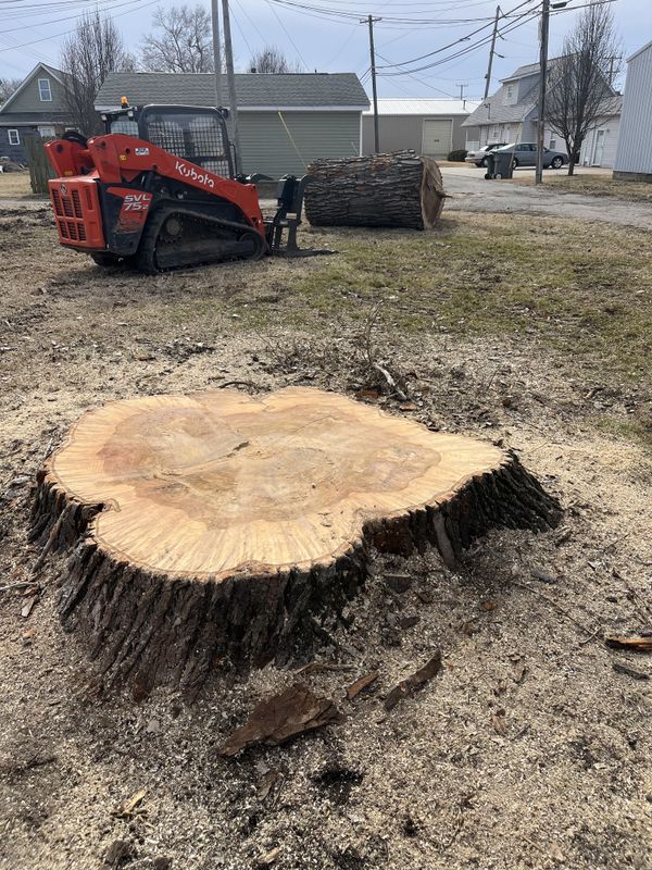 Stump Grinding