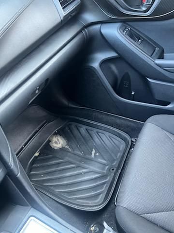 Interior Detailing
