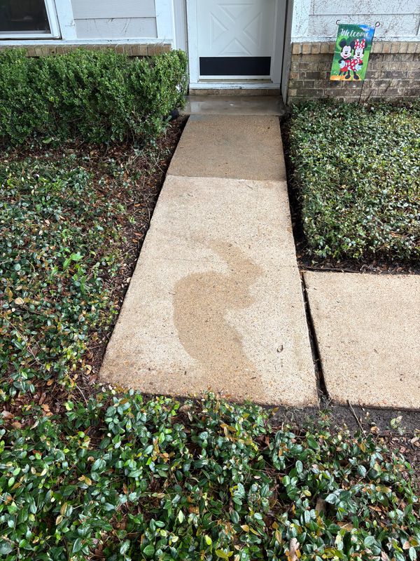 Pressure Washing