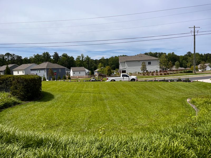 Lawn Maintenance