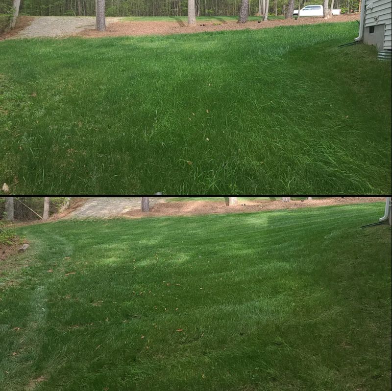 Lawn Maintenance