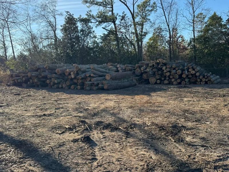 Forestry Mulching