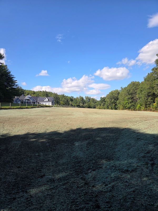 Land Clearing and Development