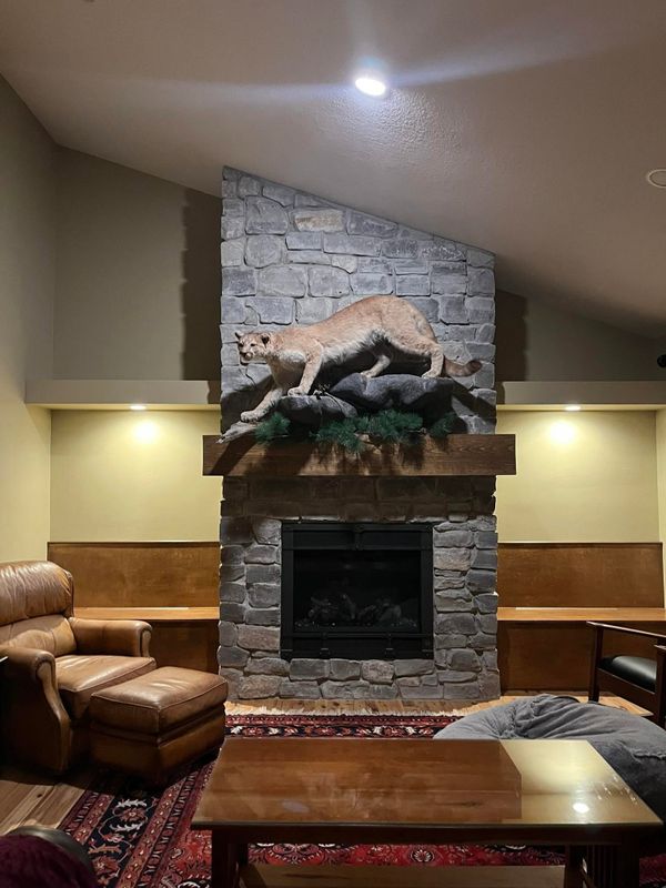 "Transformative Fireplace Stonework: Elevating Interior Ambiance with Creations by Brian LLC's Expert Touch"