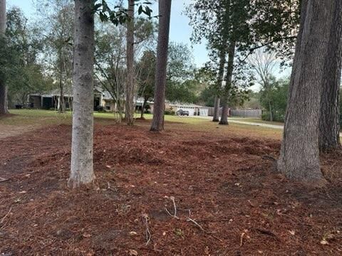 Tree Trimming