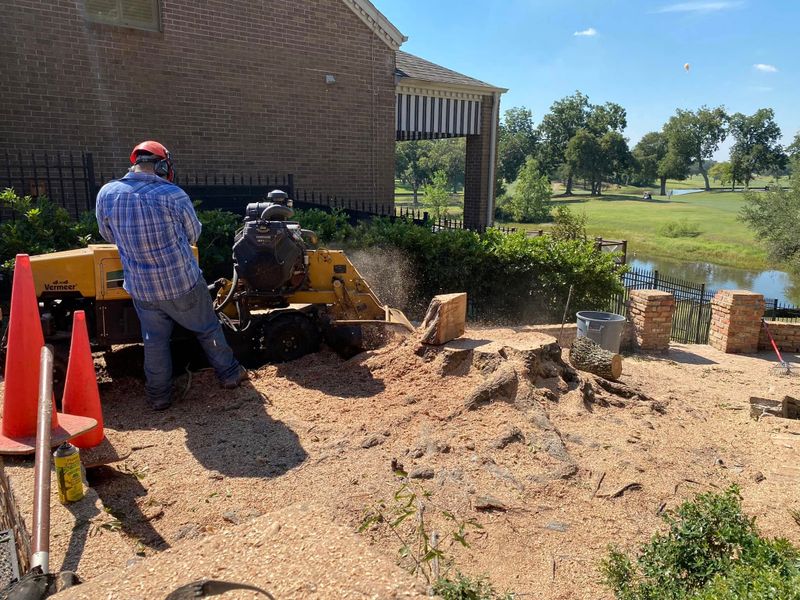 Stump Removal