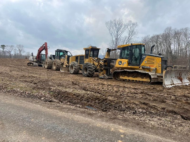 Lot Clearing