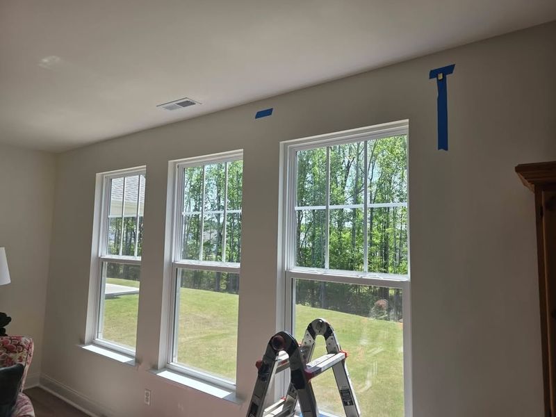 Painting and Drywall