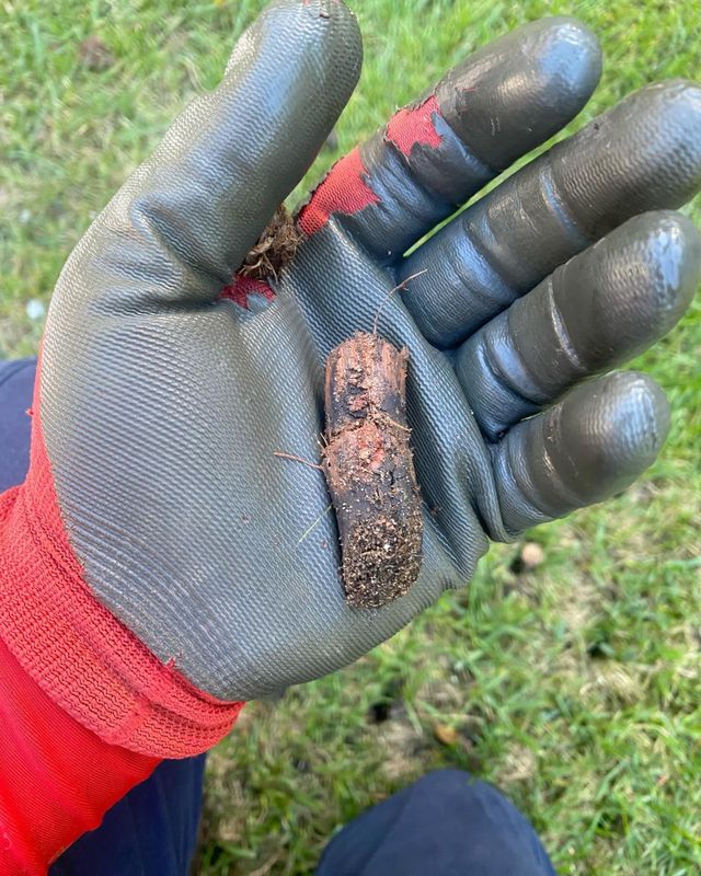 Turf Health