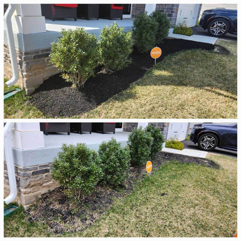 Lawn Care