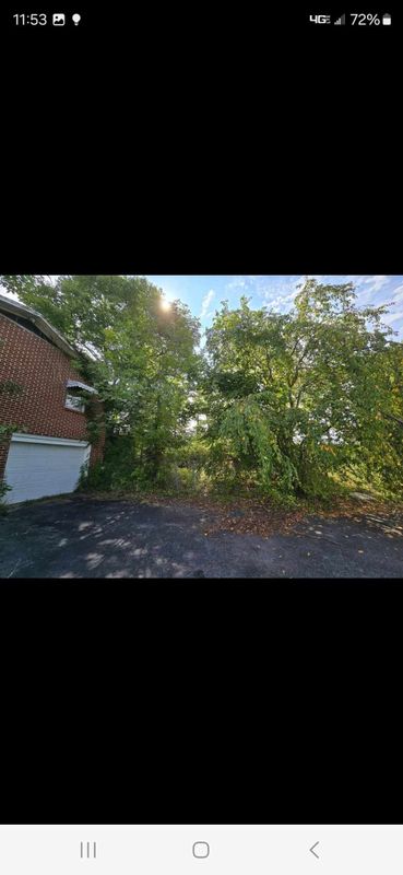Property clean up
