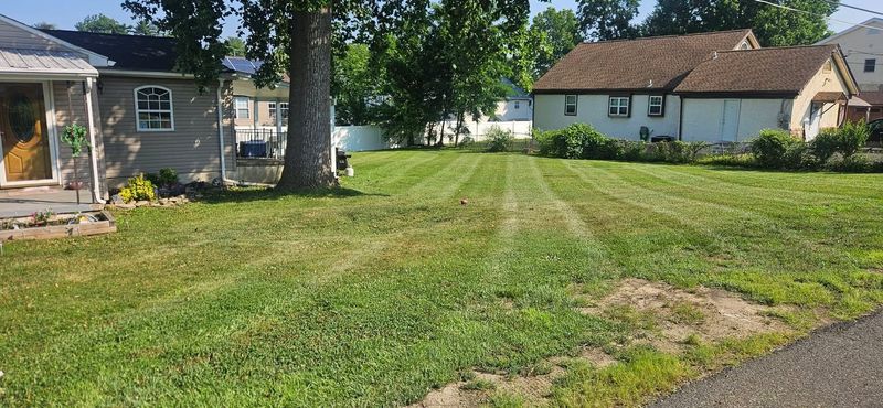 Lawn Maintenance