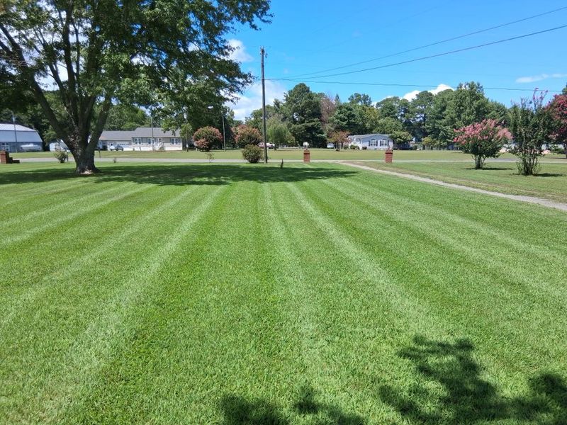 Mowing