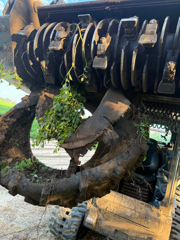 Land Clearing