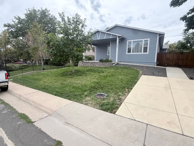 Lawn Maintenance