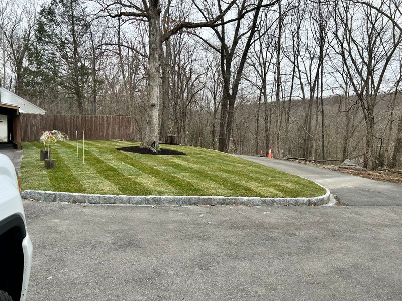 Landscaping