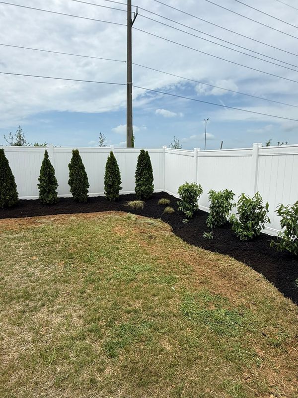 Plant & Shrub Installations