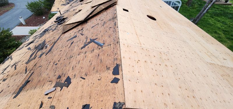 Shingle Roofing