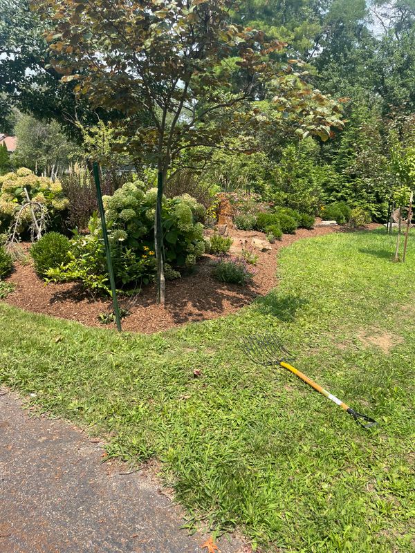 Lawn Maintenance