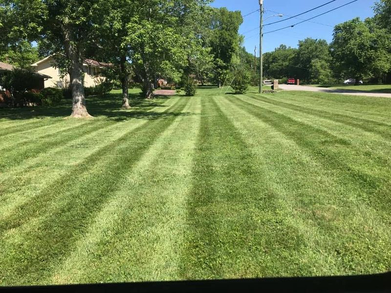Mowing