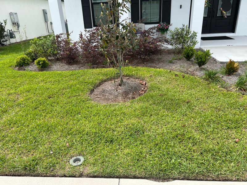 Lawn Maintenance