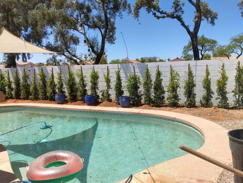 Landscaping