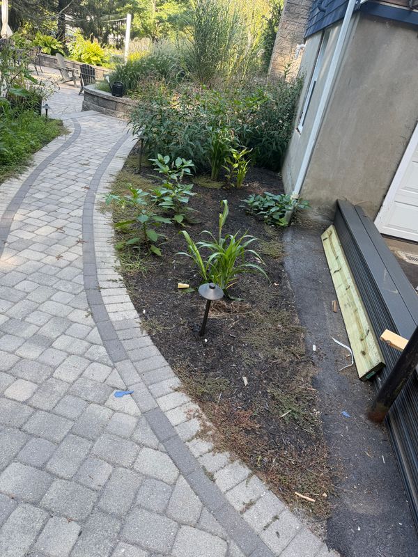 Landscape Design