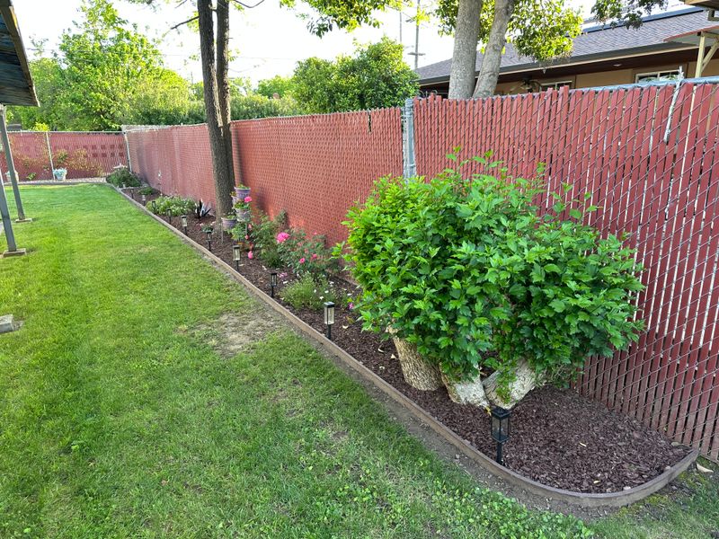 Lawn Maintenance