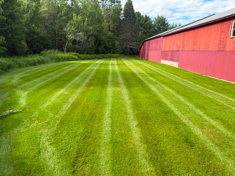 Lawn Maintenance