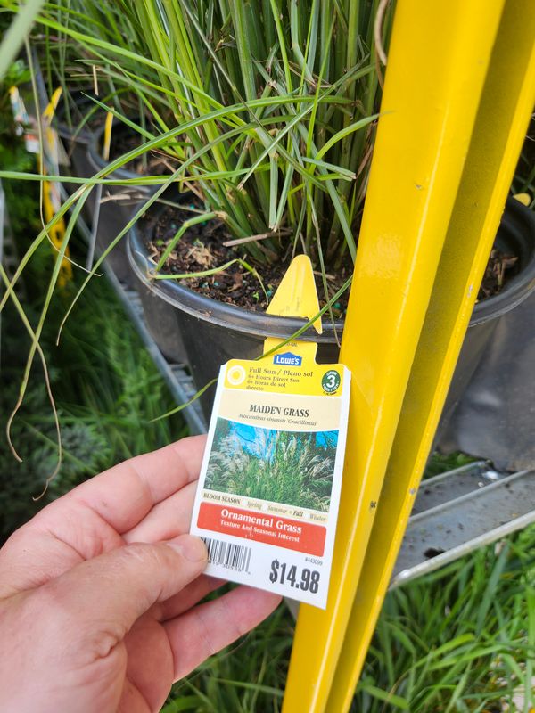 Flower & Tree Planting