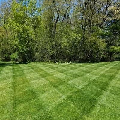 Lawn Mowing and Maintenance