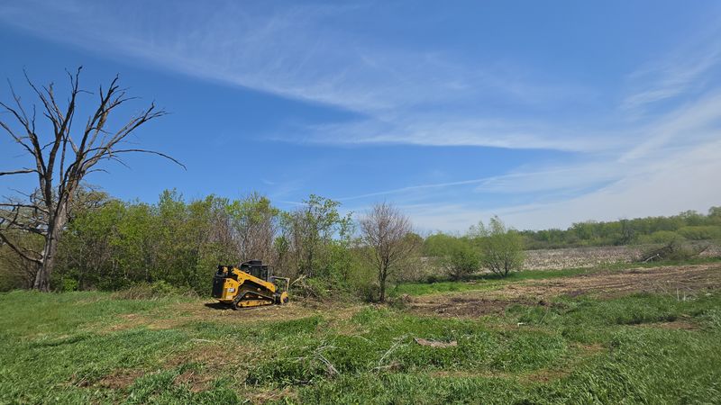 Forestry Mulching