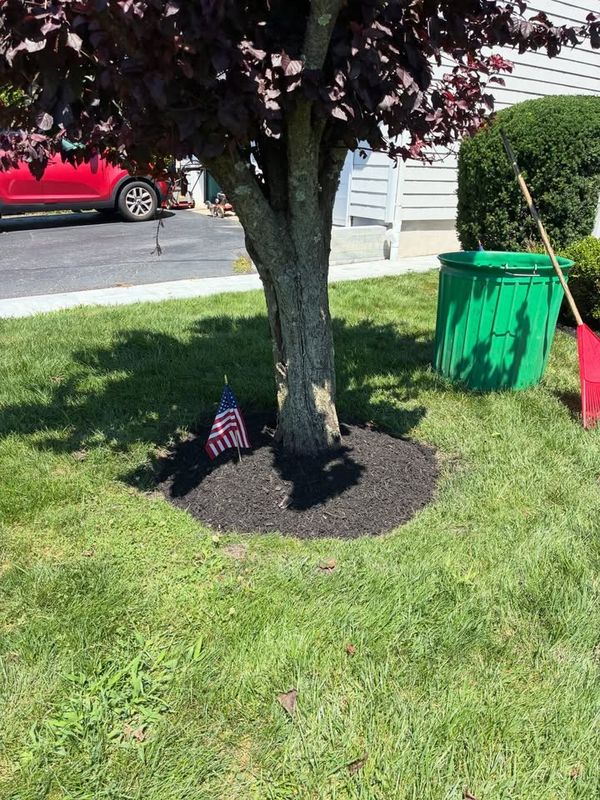 Lawn Maintenance