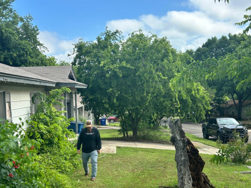 Shrubbery trimming and removal
