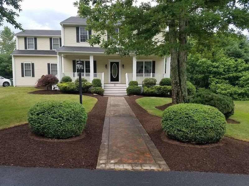 Tree & Shrub Care