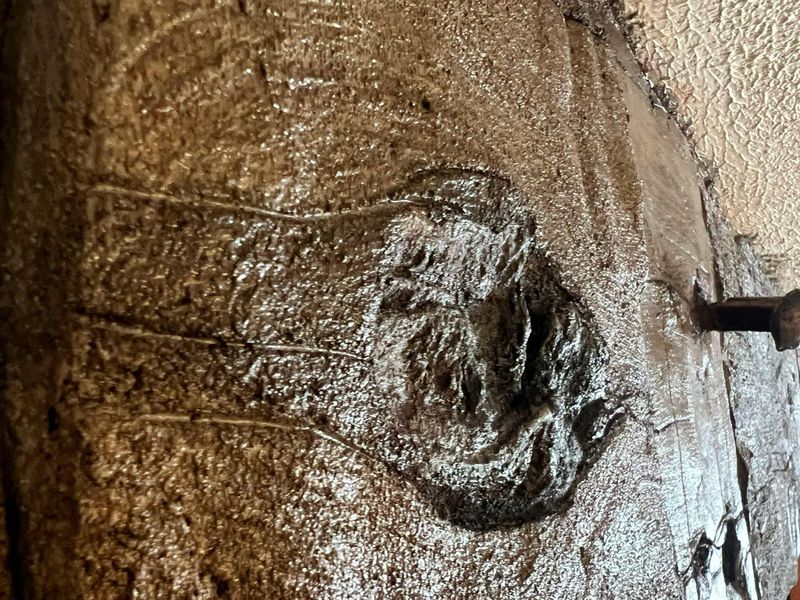 Full Depth Custom Carved Concrete