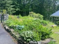 Garden Maintenance