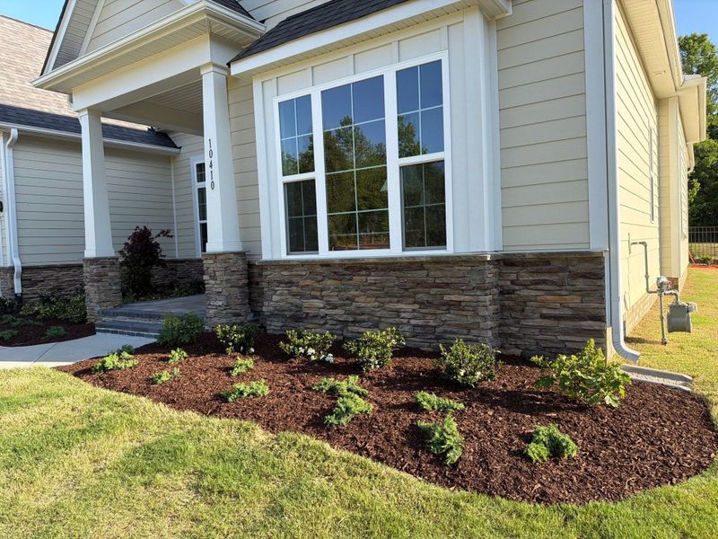 Plant & Shrub Installations
