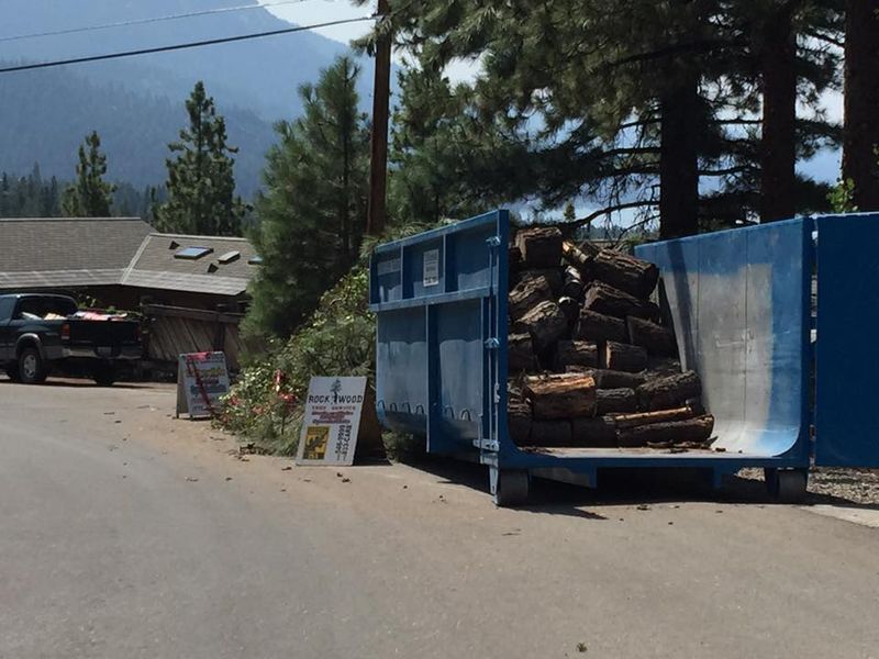 Tree Removal gallery