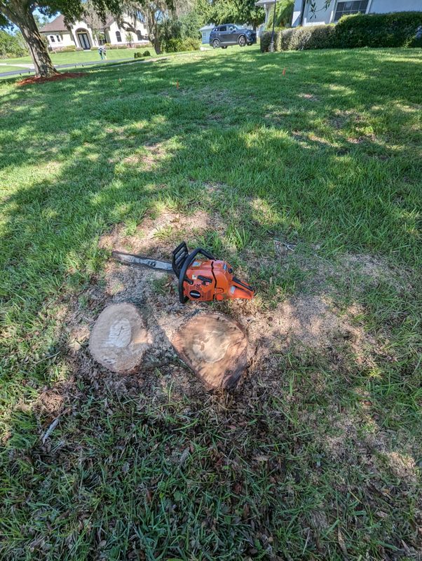 Stump Removal