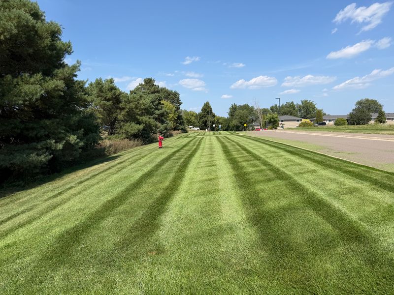 Weekly Lawn Maintenance