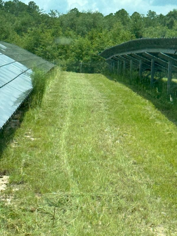 Land Managment 