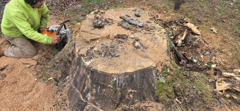 Stump Grinding